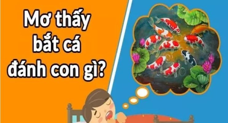 Giải mã giấc mơ thấy cá