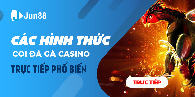 Các hình thức coi đá gà casino trực tiếp phổ biến