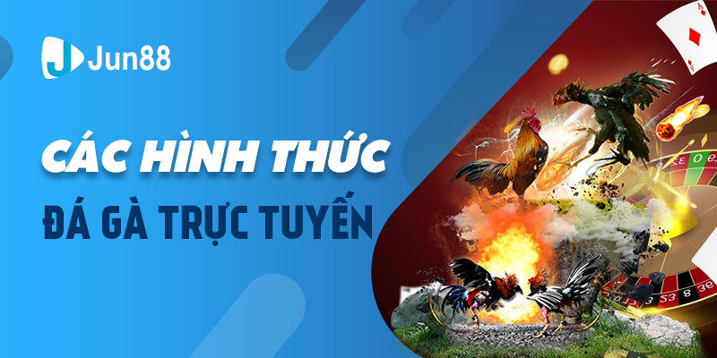 Các hình thức đá gà trực tuyến