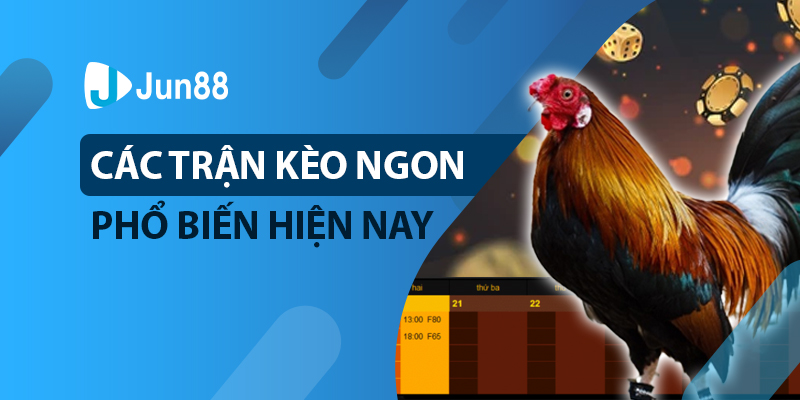 Các trận kèo ngon phổ biến hiện nay