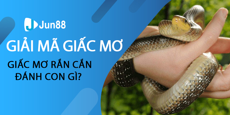 Giải mã giấc mơ rắn cắn, mơ rắn cắn đánh con gì