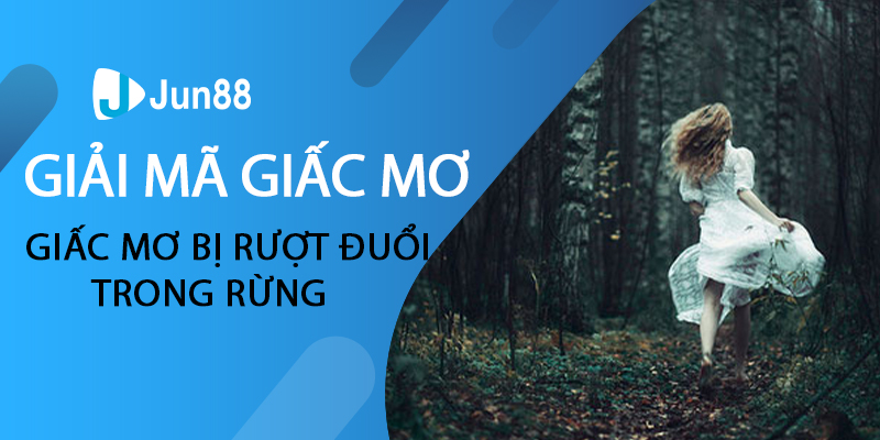 Giấc mơ bị rượt đuổi trong rừng