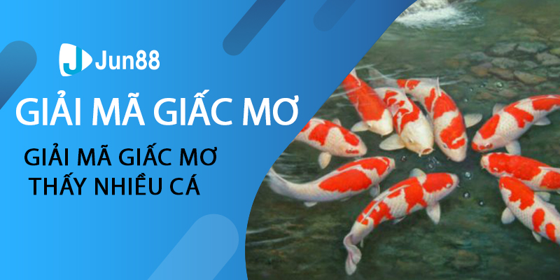 Giải mã giấc mơ thấy nhiều cá