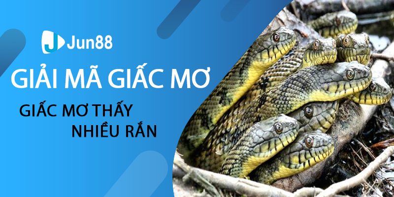 Giải mã giấc mơ thấy nhiều rắn