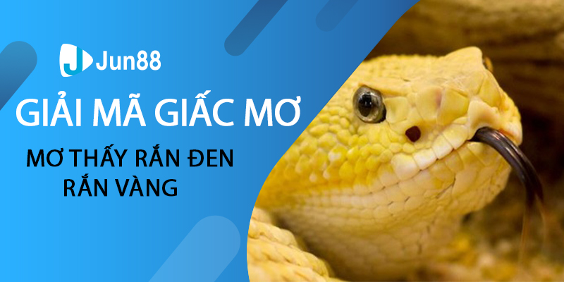 Giải mã giấc mơ thấy rắn đen, rắn vàng