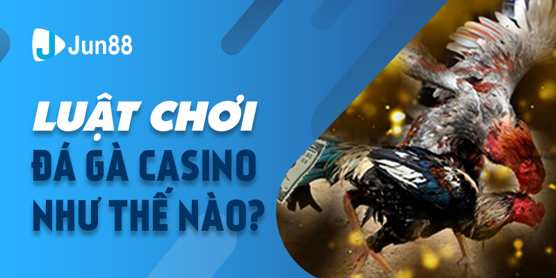 Luật chơi đá gà casino như thế nào?