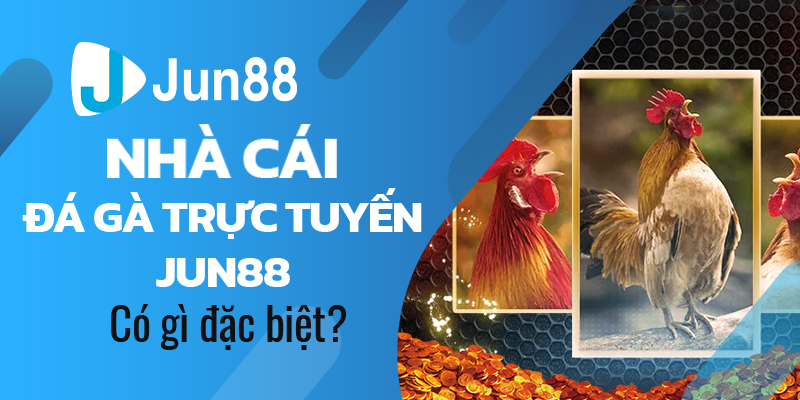 Nhà cái đá gà trực tuyến Jun88 có gì đặc biệt