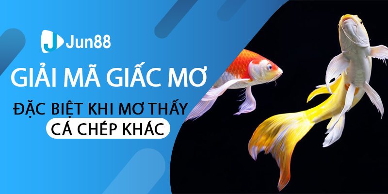 Giải Mã Giấc Mơ Thấy Cá Chép Đánh Số Đề Con Gì Chuẩn|Giấc mơ liên quan đến cá chép hầu hết phản ánh vấn đề về công việc|Bạn có biết mơ thấy cá chép đánh con gì là dễ trúng nhất không?|Điềm báo của giấc mơ thấy cá chép là gì