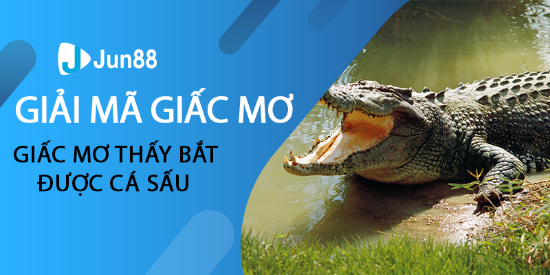 giấc mơ thấy bắt được cá sấu